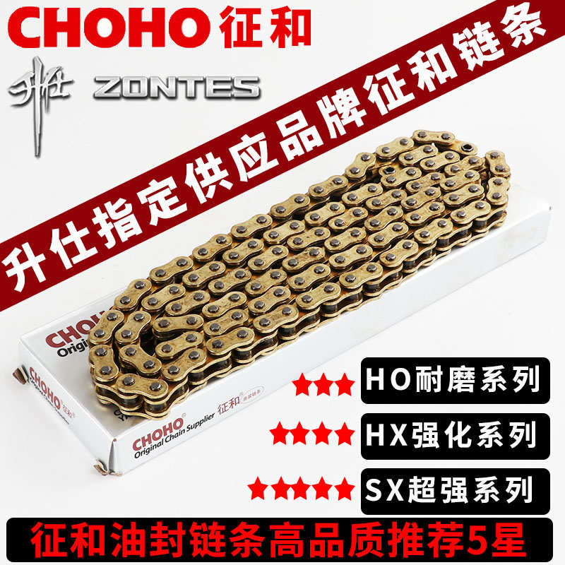 升仕310-X-T-R-V油封链条ZT250-S征和链条520HO HX SX加强耐磨