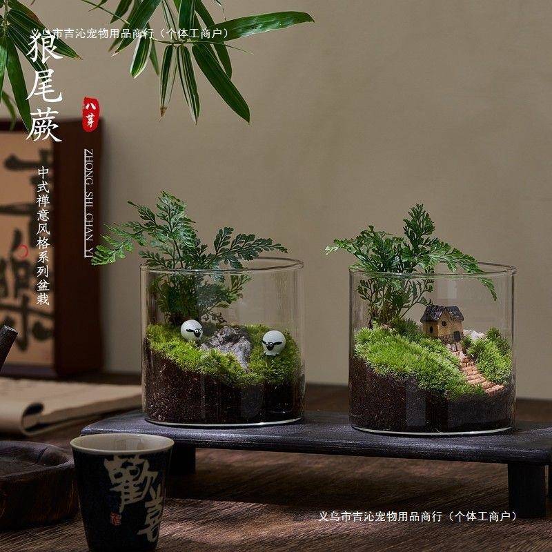 【4评22人i6AZPQQW好】趣鲜活味苔藓微4型景观创意室内桌面生态绿