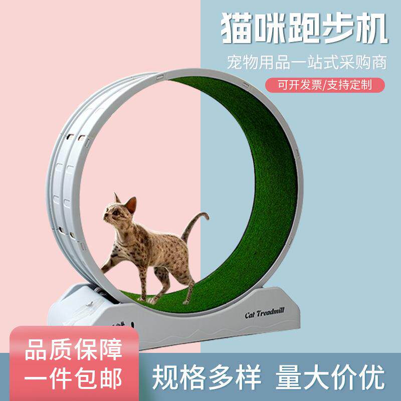 跨境直供猫咪跑步机健身磨爪运动多功能跑步机逗猫玩具一件包邮