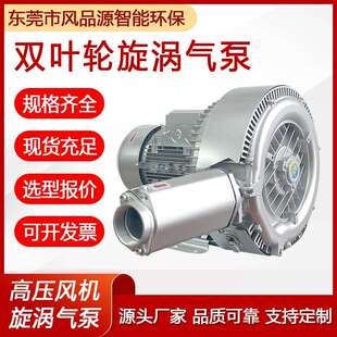 2PB820H17污水爆气高压风机养殖增氧自动化配套双段漩涡风机