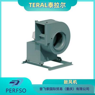 TERAL泰拉尔 鼓风机CLF6-霍赫