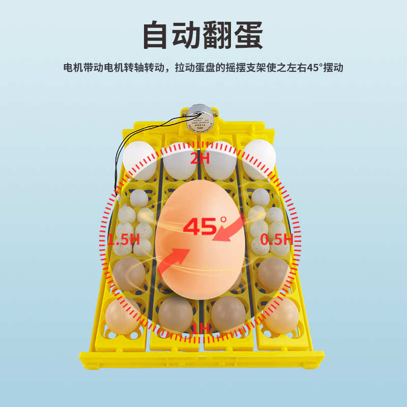 孵化机小型家用孵化器鸟蛋翻蛋蛋盘24枚鸡鸭多功能蛋盘孵化机配件