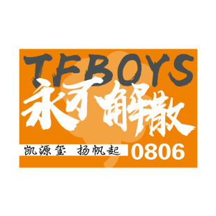 应援旗TFBOYS大旗团旗帜定制订做张极手挥音乐节旗子制作痛仰后援