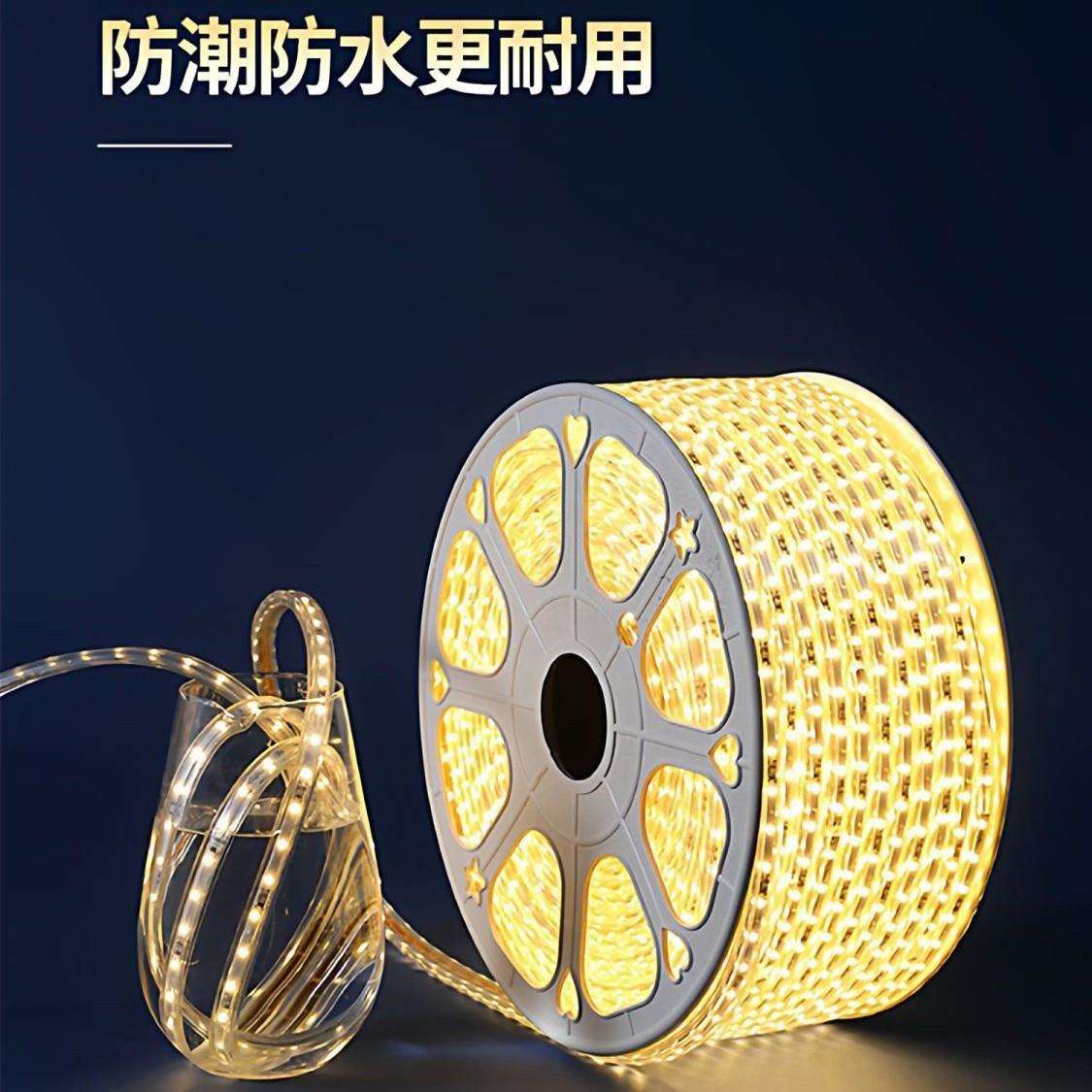 佛山照明led灯带220超亮吊顶户外亮化工程家用白光防水客厅工地