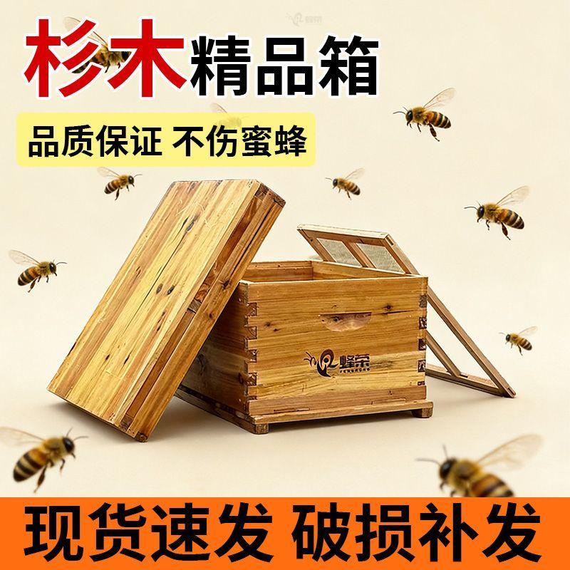 2公分十框中蜂箱蜂全杉木意蜂箱厂家直销七框蜜蜂箱养蜂工具