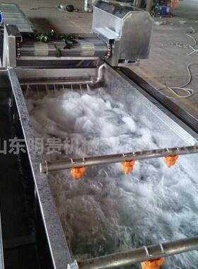 土豆片漂洗流水线蔬菜鼓泡喷淋清洗机连续涡流洗菜机器