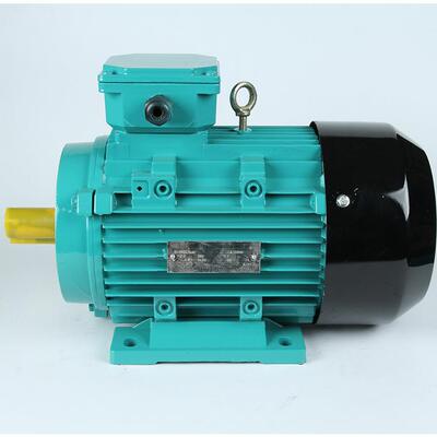 工厂生产直供全新全铜立卧式安装MS-0.75w-315W质优电动机