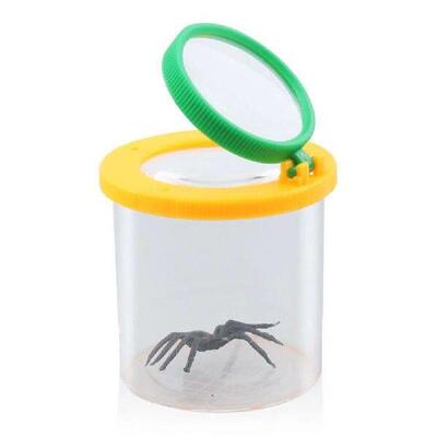 Children Crawlers Animal Spider Insect Box 3X 6X Magnifying