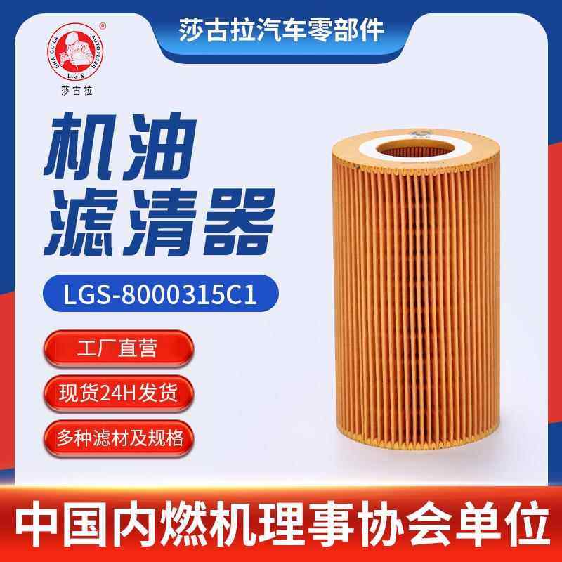 适用纳威司达江淮帅铃H380江淮格尔发KGL原件8000315C1机油滤清器