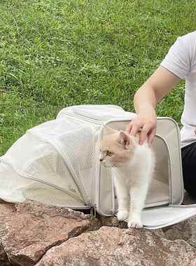 jerrycat猫包可扩展外出便携手提式猫咪狗背包猫笼子宠物航空软包