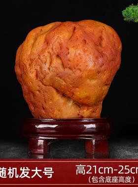 正品天观然黄蜡石原石龙摆件奇石假山观景石室内客厅办公室黄玉赏