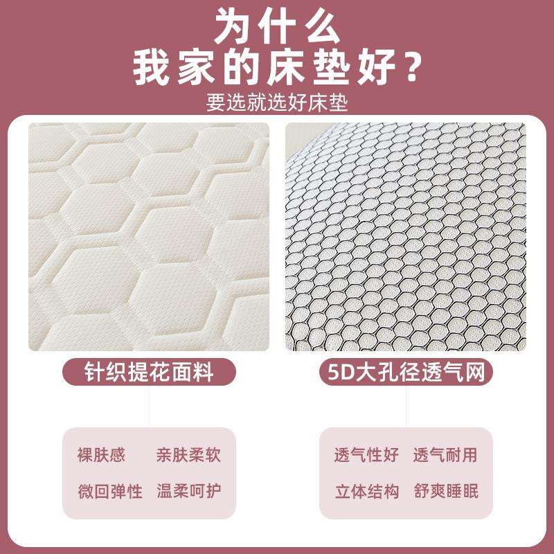 床垫单子乳胶床垫学生宿舍床租垫房加厚BSK-GX褥子软人垫家用垫子