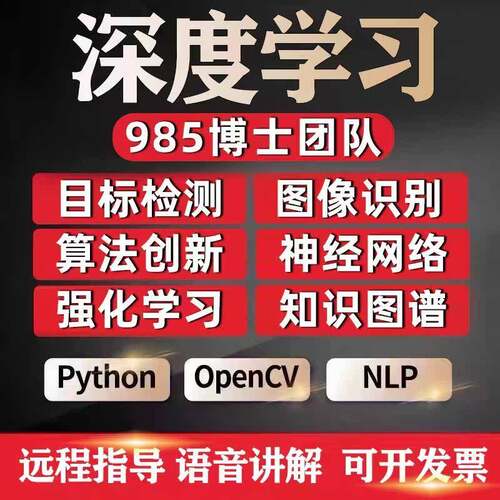 目标检测分割医学图像识别强化学习算法创新辅导Python计算机视觉