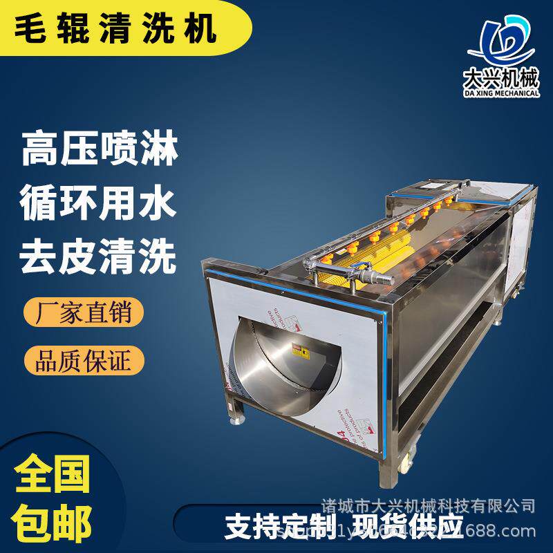 葛根毛辊清洗机 何首乌中药材毛辊清洗机 根茎类果蔬中草药清洗机
