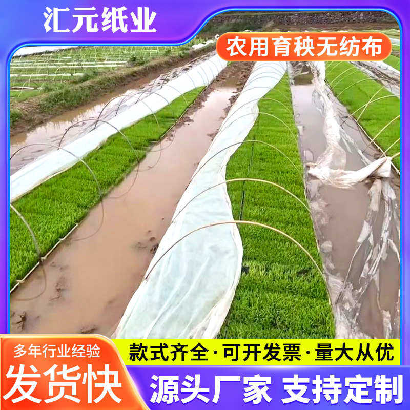 农用水稻育秧无纺布育苗保温透气膜盖瓜果蔬菜苗家具包装汽车包装,居家布艺,无纺布,淘宝优惠券,粉丝福利购,淘宝优惠卷