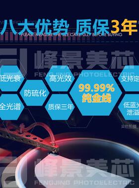 505QQX0紫珠光管灯UVA95-00nm专用支架5050LED灯4珠发光二极防伪