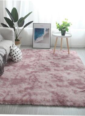 Carpet living room tea table bedroom bedside blanket mat地毯