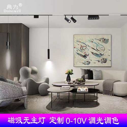 工厂直供典为LED智能调光调色磁吸灯0-10v客厅厨房家用无主灯照明