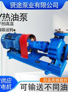 热油循环泵离心泵BRY离心式热油泵RY导热油泵润滑机油输送泵