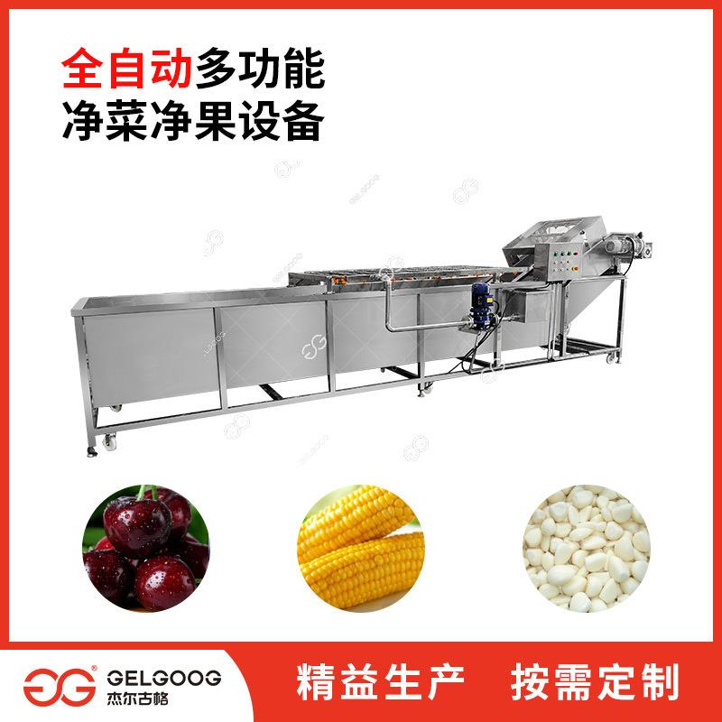 气泡式洗果机全自动洗樱桃车厘子机械自动洗果机车厘子清洗机