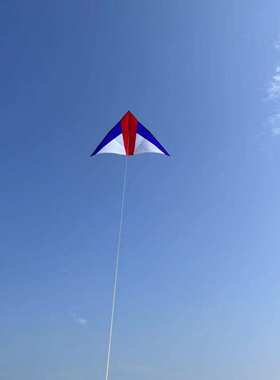 潍坊金鹏风筝厂家直销量大优红白大三角大草原树枝杆微风易飞kite