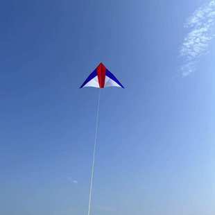 潍坊金鹏风筝厂家直销量大优红白大三角大草原树枝杆微风易飞kite