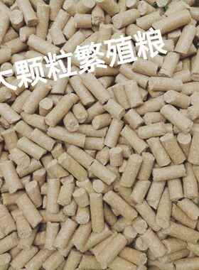大小白鼠鼠粮 花枝鼠粮 小鼠爱吃高蛋白大颗粒繁殖粮多种规格包邮
