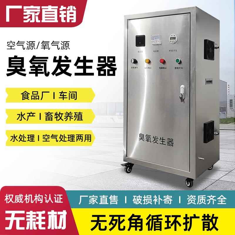 大型臭氧产生器空氧气源工业食品厂空间污水处理臭氧杀菌水产设备