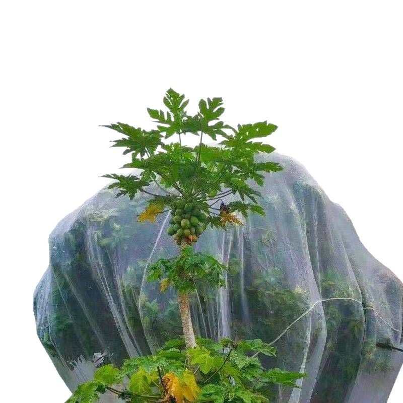 大棚防虫网蔬菜果园拱棚养猪场防蚊蝇防白粉虱晾晒网养殖围网加厚
