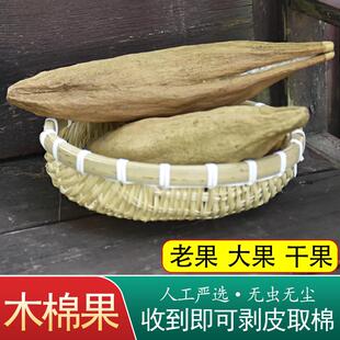 天然木棉果攀枝花枕芯有子木棉花有籽木棉带籽红棉枕头填充料含壳