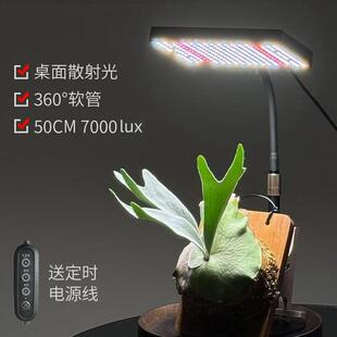 桌面全光谱LED植物补光灯--散射光植物专用补光灯夹子多头大功率