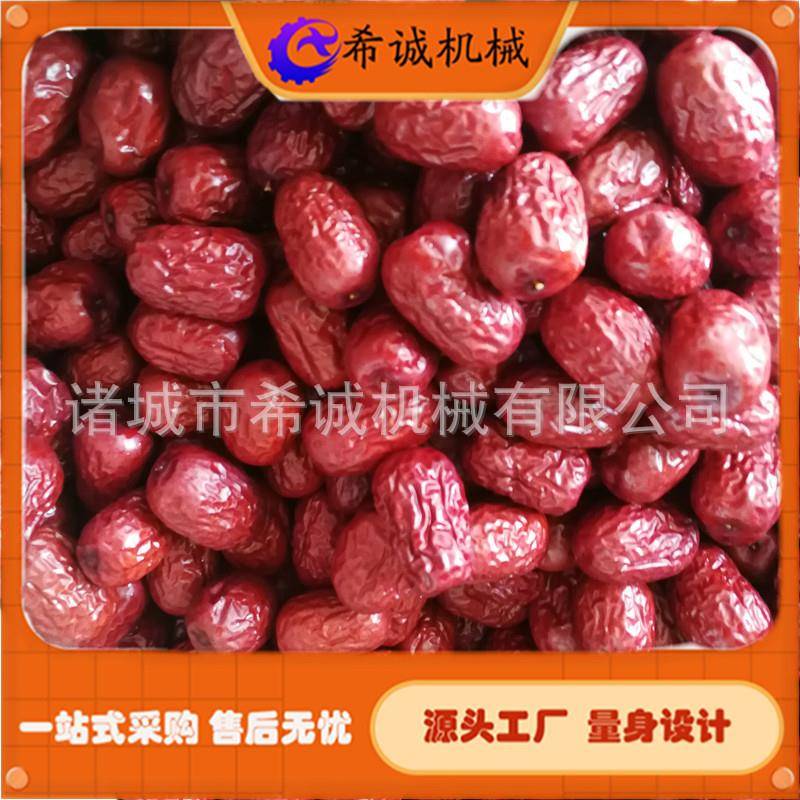 全自动气泡清洗机水果蔬菜自动化清洗线高频振动沥水希诚供应