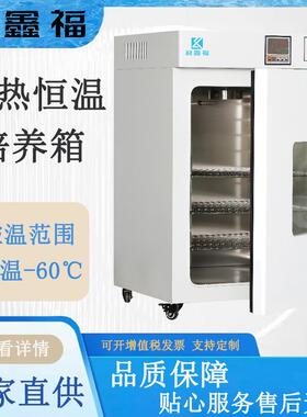电热恒温培养箱DHP-9032 60℃ 储藏菌种 生物培养 科研实验培养箱