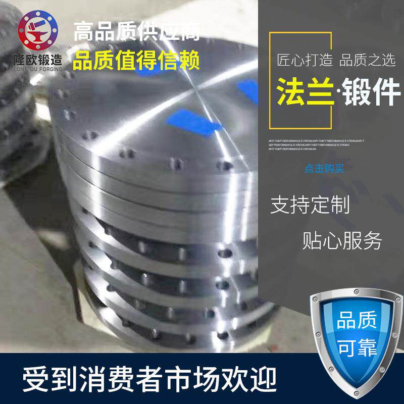 专业生产压力容器管板锻件 法兰 耐高压耐腐蚀 支持异形图纸定 - 实物图