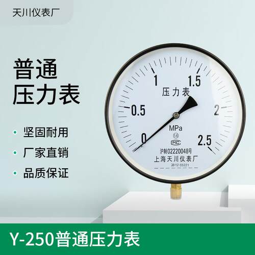 上海天川压力表Y-250锅炉压力表1.6MPa蒸气表10寸DN154分