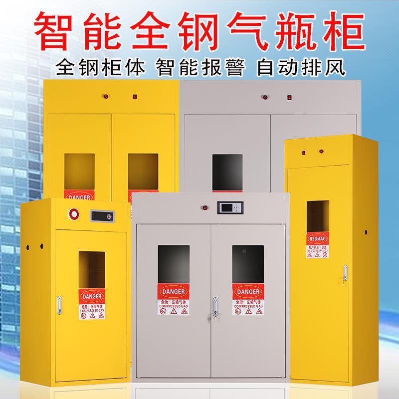 全钢智能报警排风防气爆柜柜实室双瓶煤气罐储QPG存瓶柜钢验瓶柜