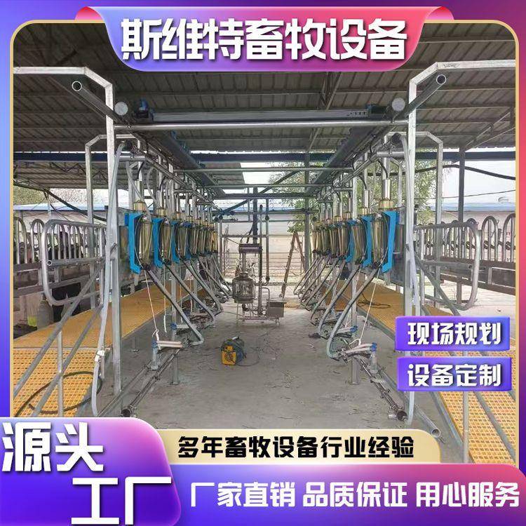 挤奶厅羊用奶牛自动挤奶设备智能化牧场管理奶厅厂家供应现场规划