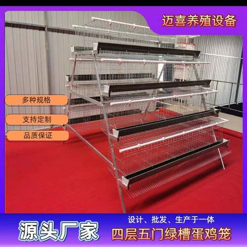 四层五门阶梯式蛋鸡笼镀锌工艺耐用耐腐蚀空间错位粪便易清