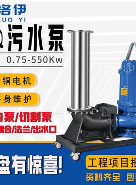 潜水污水泵WQ型/QW潜污泵1.5KW3KW5.5KW抽水泵水泵潜水泵排污泵
