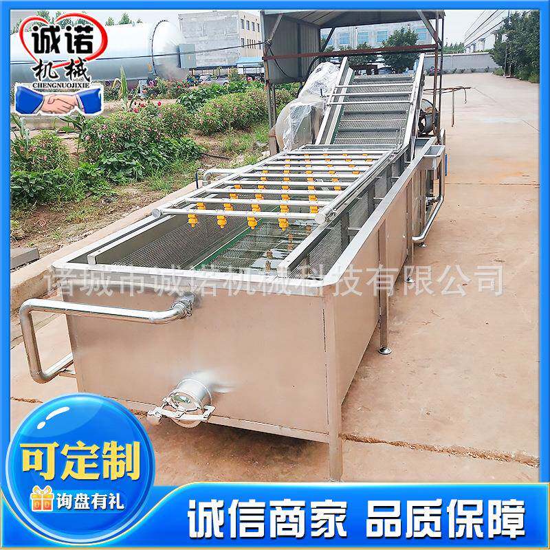 叶类蔬菜清洗机设备果蔬清洗设备白菜胡萝卜高压喷淋清洗机