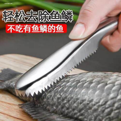 Elliptical Stainless Steel Fish Scaler Brush, Fish Scale Rem