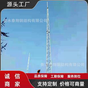 三柱避雷针2避5钢米30米雷塔制作运输安装不锈钢避雷JT-20圆塔户