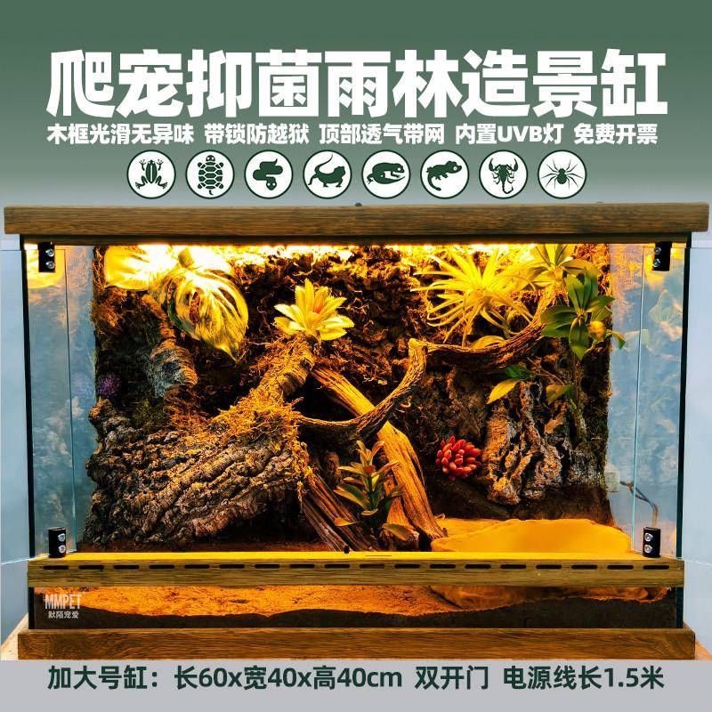 爬宠养树蛙鬃狮蜥蛇角蛙乌龟蛇守宫专用生态缸热带雨林造景养殖箱