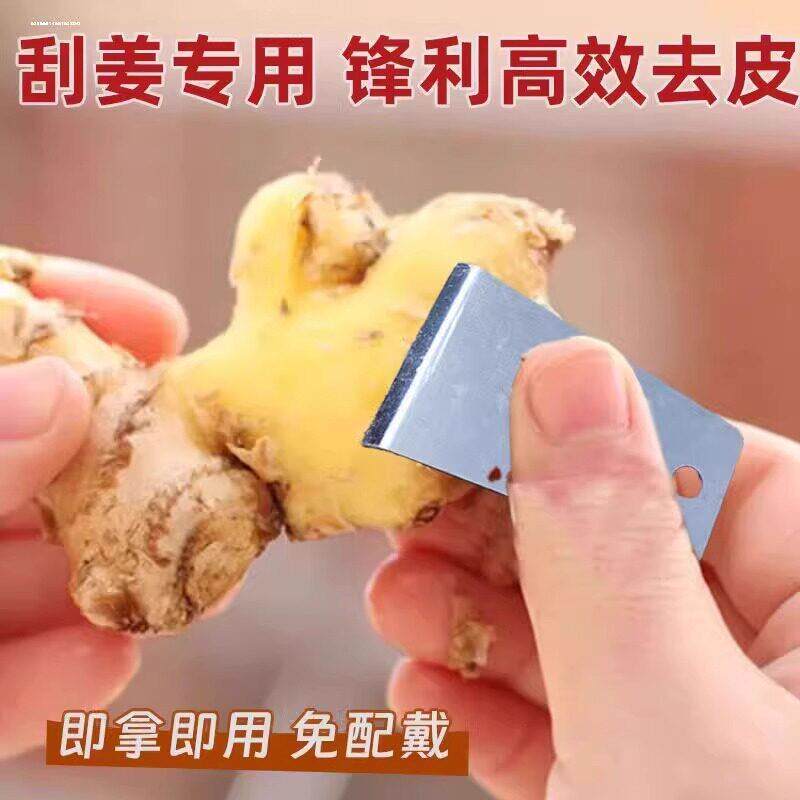 厨房专用去皮器刮皮姜皮剥蒜头神器生姜去皮削皮创意剥蒜刨姜器