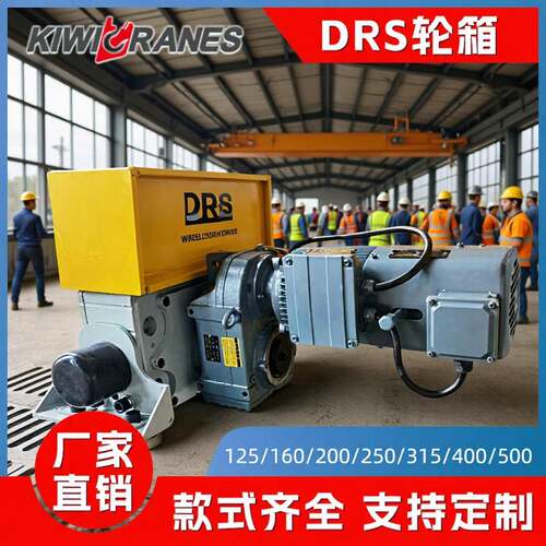 DRS轮箱德马格轮箱125/160/200/250堆垛机轮轮箱RGV小车起重机