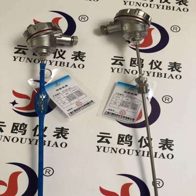 WRC2-131电站用热电偶WRF2-53/WRF2-231