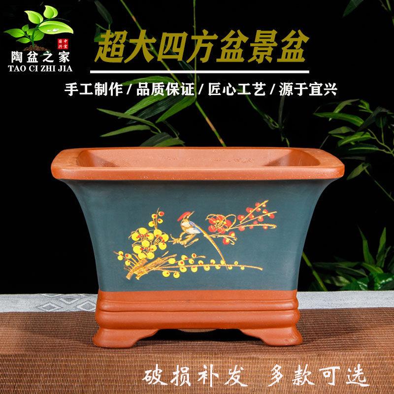 紫砂花盆陶瓷盆四方形室内植物梅花榕树老桩金弹子君子兰花盆景盆