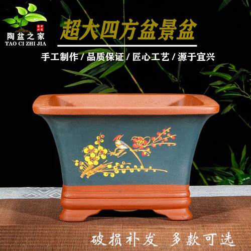 紫砂花盆陶瓷盆四方形室内植物梅花榕树老桩金弹子君子兰花盆景盆