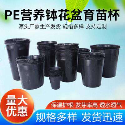 12x15cm农业林业专用大号PE塑料营养钵花盆育苗杯