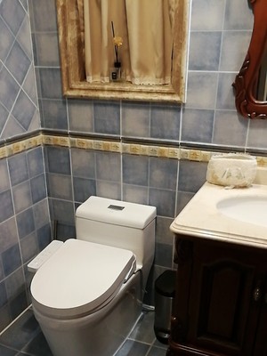 智米智能马桶盖怎么样？打听下到底值不值？